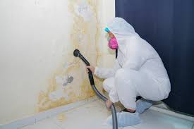  , USA Mold Inspection Pros